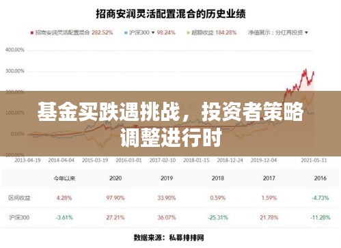 基金買跌遇挑戰(zhàn)，投資者策略調整進行時