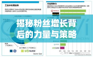 揭秘粉絲增長背后的力量與策略，揭秘背后的秘密！