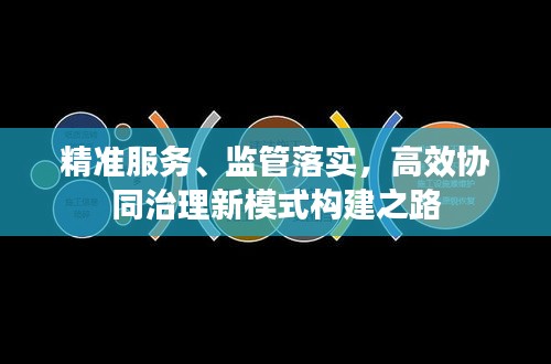 精準(zhǔn)服務(wù)、監(jiān)管落實(shí)，高效協(xié)同治理新模式構(gòu)建之路
