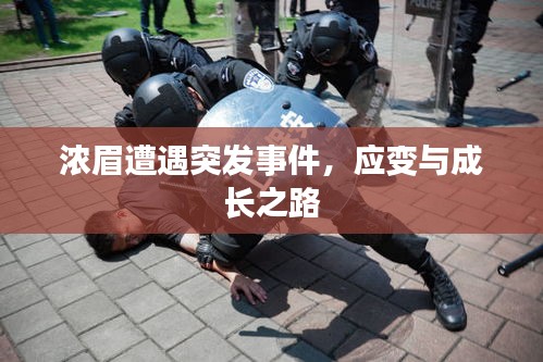濃眉遭遇突發(fā)事件，應(yīng)變與成長之路