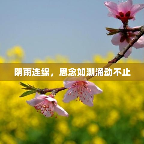 陰雨連綿，思念如潮涌動不止