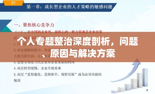 個人專題整治深度剖析，問題、原因與解決方案