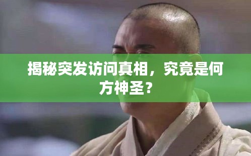 揭秘突發(fā)訪問真相，究竟是何方神圣？