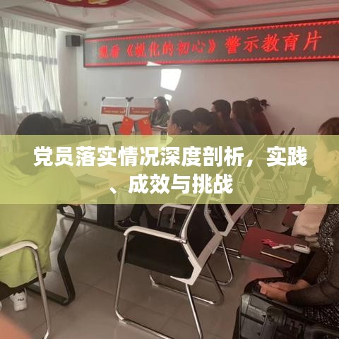 黨員落實(shí)情況深度剖析，實(shí)踐、成效與挑戰(zhàn)