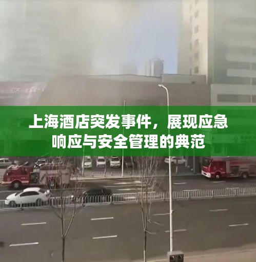 上海酒店突發(fā)事件，展現(xiàn)應(yīng)急響應(yīng)與安全管理的典范