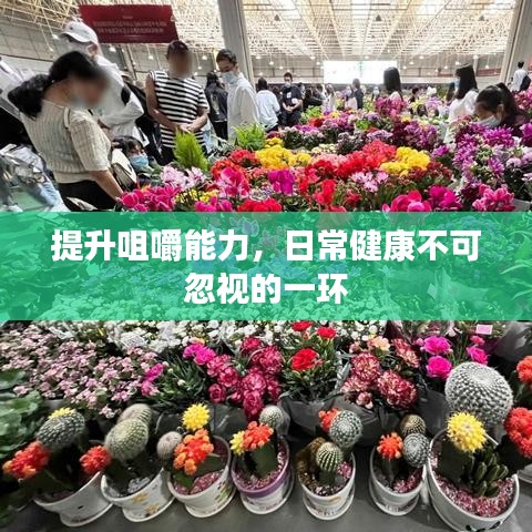 提升咀嚼能力，日常健康不可忽視的一環(huán)