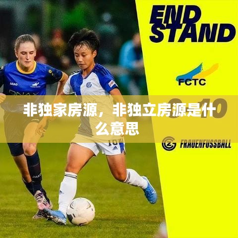 非獨(dú)家房源，非獨(dú)立房源是什么意思 