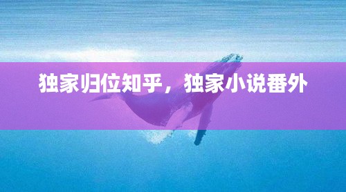 獨家歸位知乎，獨家小說番外 