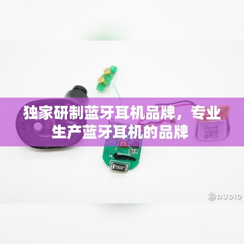2025年1月3日 第22頁