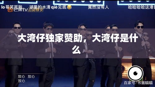 大灣仔獨家贊助，大灣仔是什么 