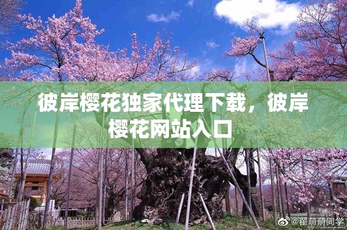 2025年1月3日 第17頁
