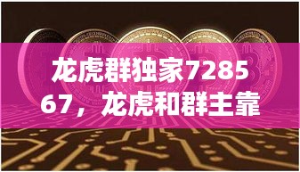 龍虎群獨(dú)家728567，龍虎和群主靠什么賺錢 