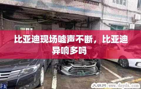 比亞迪現(xiàn)場噓聲不斷，比亞迪異響多嗎 