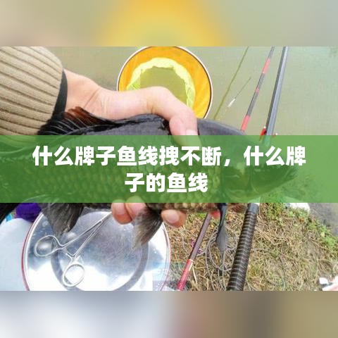 什么牌子魚線拽不斷，什么牌子的魚線 