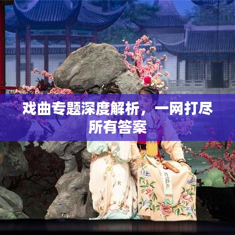 戲曲專題深度解析，一網(wǎng)打盡所有答案