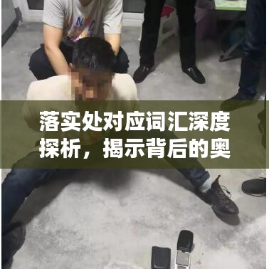 落實處對應(yīng)詞匯深度探析，揭示背后的奧秘