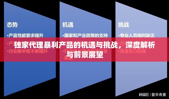 獨(dú)家代理暴利產(chǎn)品的機(jī)遇與挑戰(zhàn)，深度解析與前景展望