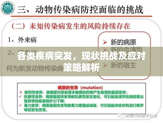 各類疾病突發(fā)，現(xiàn)狀挑戰(zhàn)及應(yīng)對策略解析
