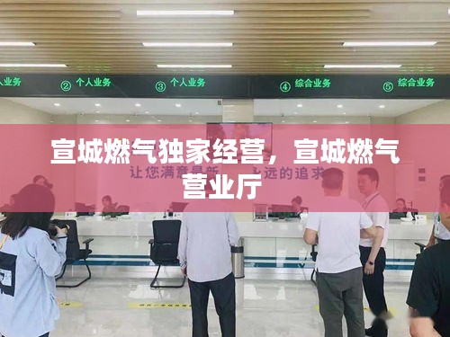 宣城燃?xì)猹?dú)家經(jīng)營，宣城燃?xì)鉅I業(yè)廳 
