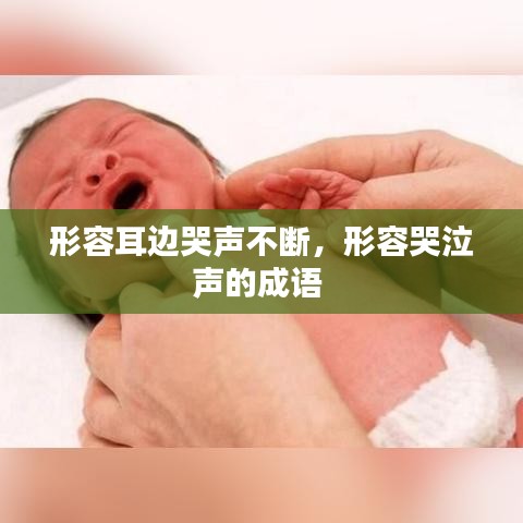 形容耳邊哭聲不斷，形容哭泣聲的成語 