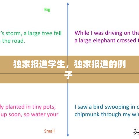 獨(dú)家報(bào)道學(xué)生，獨(dú)家報(bào)道的例子 