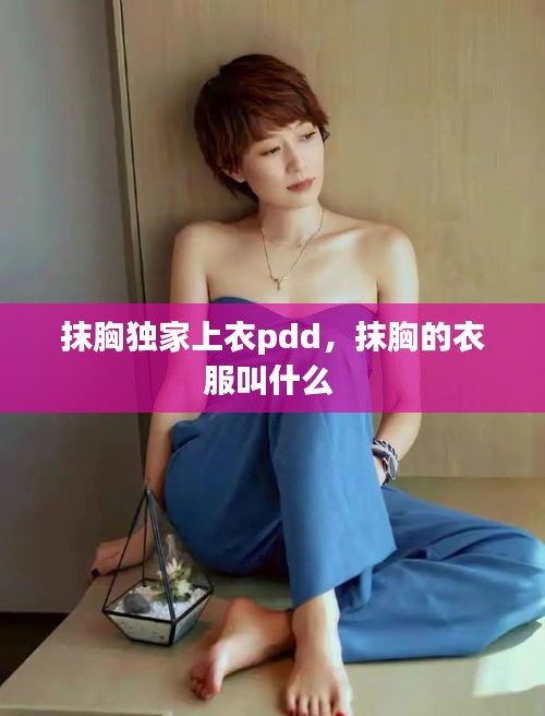 抹胸獨(dú)家上衣pdd，抹胸的衣服叫什么 