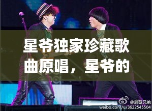 星爺獨(dú)家珍藏歌曲原唱，星爺?shù)母枨鷇j全部 