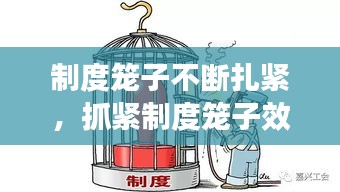制度籠子不斷扎緊，抓緊制度籠子效果如何 