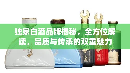 獨(dú)家白酒品牌揭秘，全方位解讀，品質(zhì)與傳承的雙重魅力