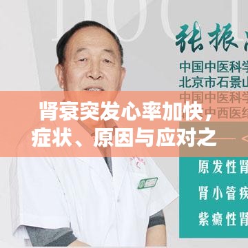 腎衰突發(fā)心率加快，癥狀、原因與應(yīng)對之策