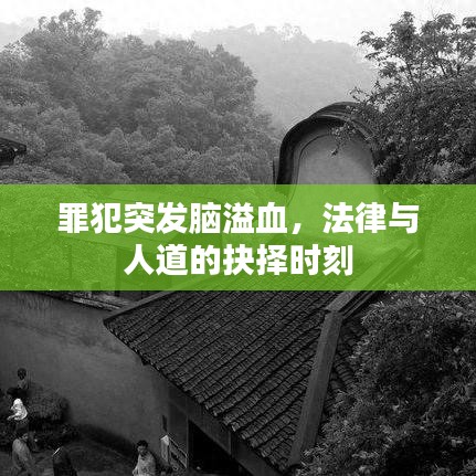 罪犯突發(fā)腦溢血，法律與人道的抉擇時(shí)刻