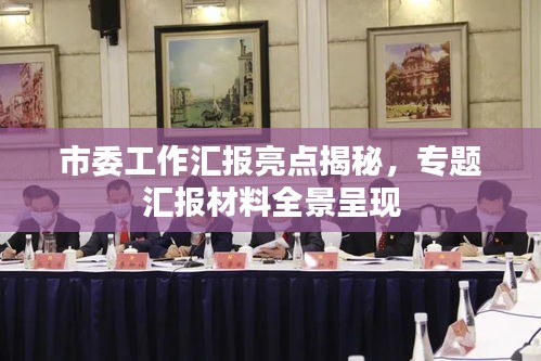 市委工作匯報亮點揭秘，專題匯報材料全景呈現(xiàn)