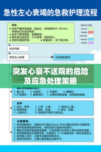 突發(fā)心衰不送院的危險及應急處理策略