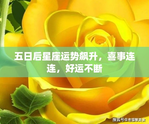五日后星座運勢飆升，喜事連連，好運不斷