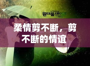 柔情剪不斷，剪不斷的情誼 