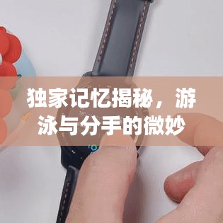 獨(dú)家記憶揭秘，游泳與分手的微妙交織
