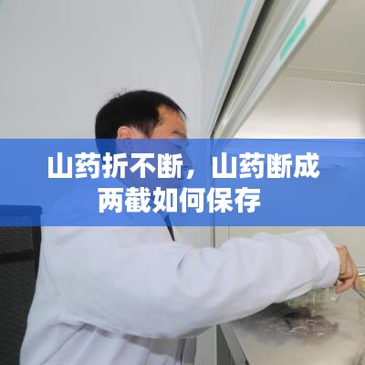 山藥折不斷，山藥斷成兩截如何保存 