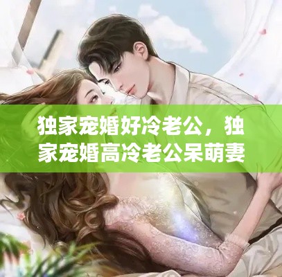 獨家寵婚好冷老公，獨家寵婚高冷老公呆萌妻 