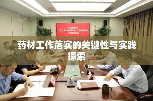藥材工作落實的關(guān)鍵性與實踐探索