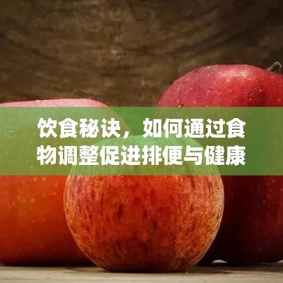飲食秘訣，如何通過(guò)食物調(diào)整促進(jìn)排便與健康生活關(guān)聯(lián)？