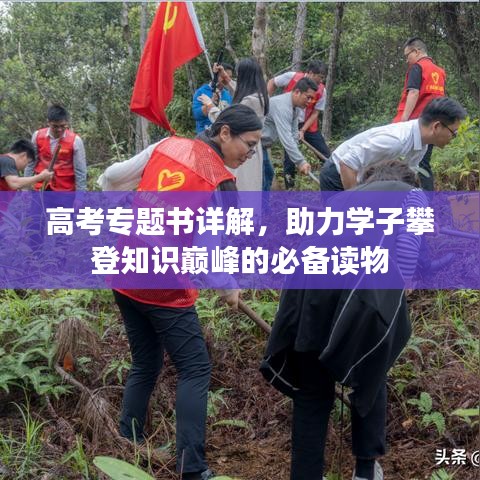 高考專題書詳解，助力學(xué)子攀登知識巔峰的必備讀物