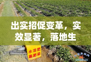 出實(shí)招促變革，實(shí)效顯著，落地生根