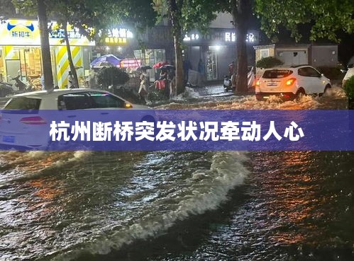 杭州斷橋突發(fā)狀況牽動(dòng)人心