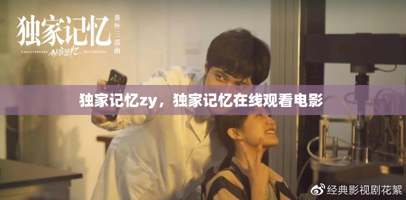 獨(dú)家記憶zy，獨(dú)家記憶在線觀看電影 