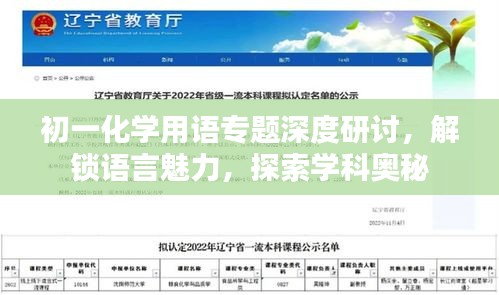 初一化學(xué)用語(yǔ)專題深度研討，解鎖語(yǔ)言魅力，探索學(xué)科奧秘