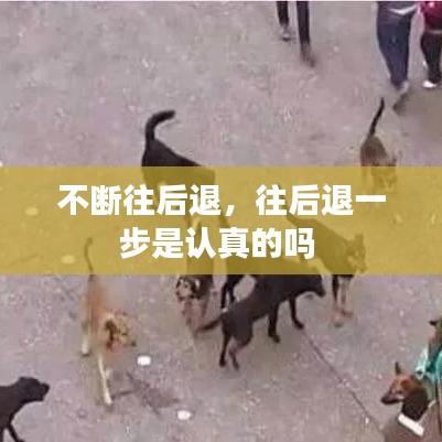 不斷往后退，往后退一步是認真的嗎 