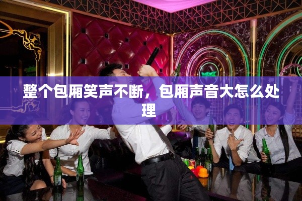 整個包廂笑聲不斷，包廂聲音大怎么處理 