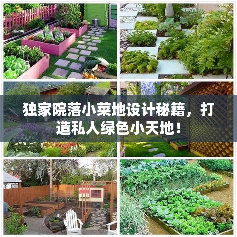 獨(dú)家院落小菜地設(shè)計秘籍，打造私人綠色小天地！