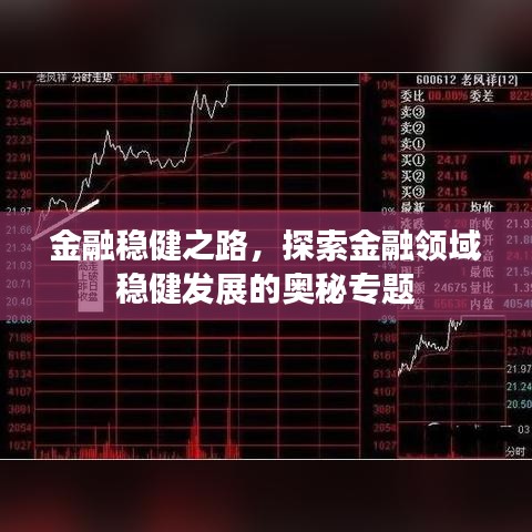 金融穩(wěn)健之路，探索金融領(lǐng)域穩(wěn)健發(fā)展的奧秘專題