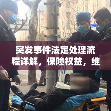 突發(fā)事件法定處理流程詳解，保障權(quán)益，維護(hù)秩序的關(guān)鍵步驟